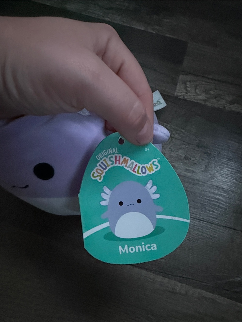 Small squishmallow - Picture 2 of 3